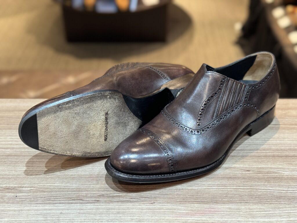 トーラバー装着後のシェットランドフォックスを俯瞰で捉えた状態