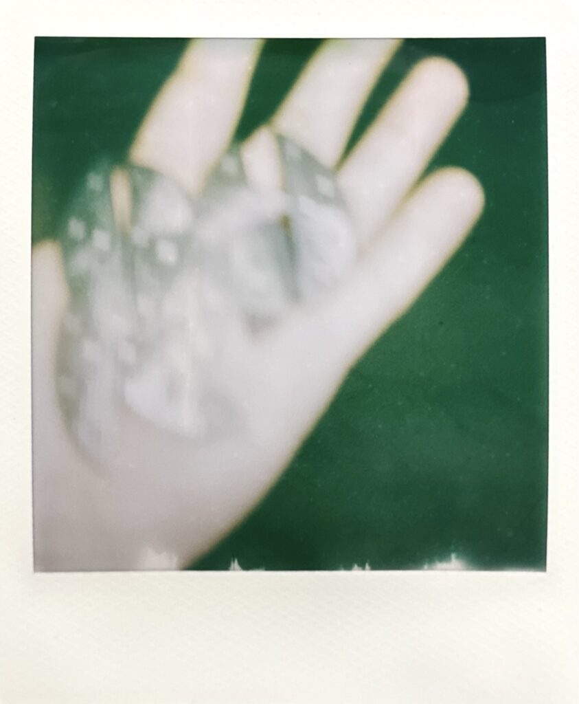 掌の上に載せたヴィンテージスチールのポラロイド写真