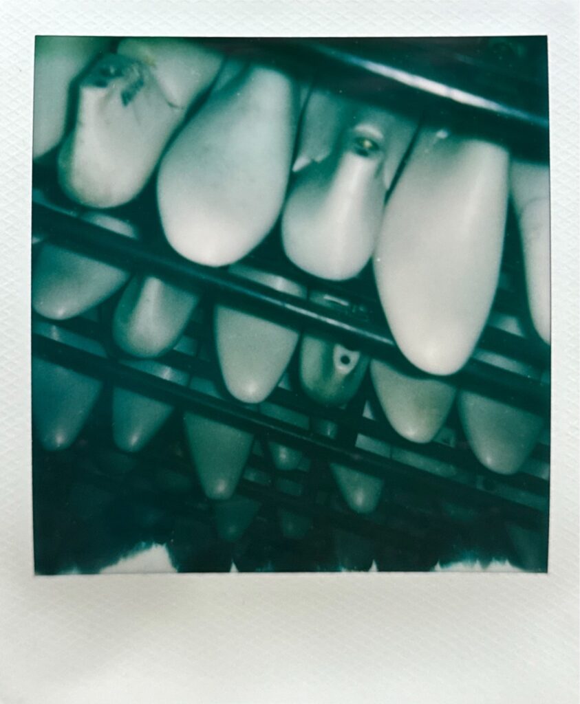 靴修理工房に並ぶラストを写したポラロイド写真