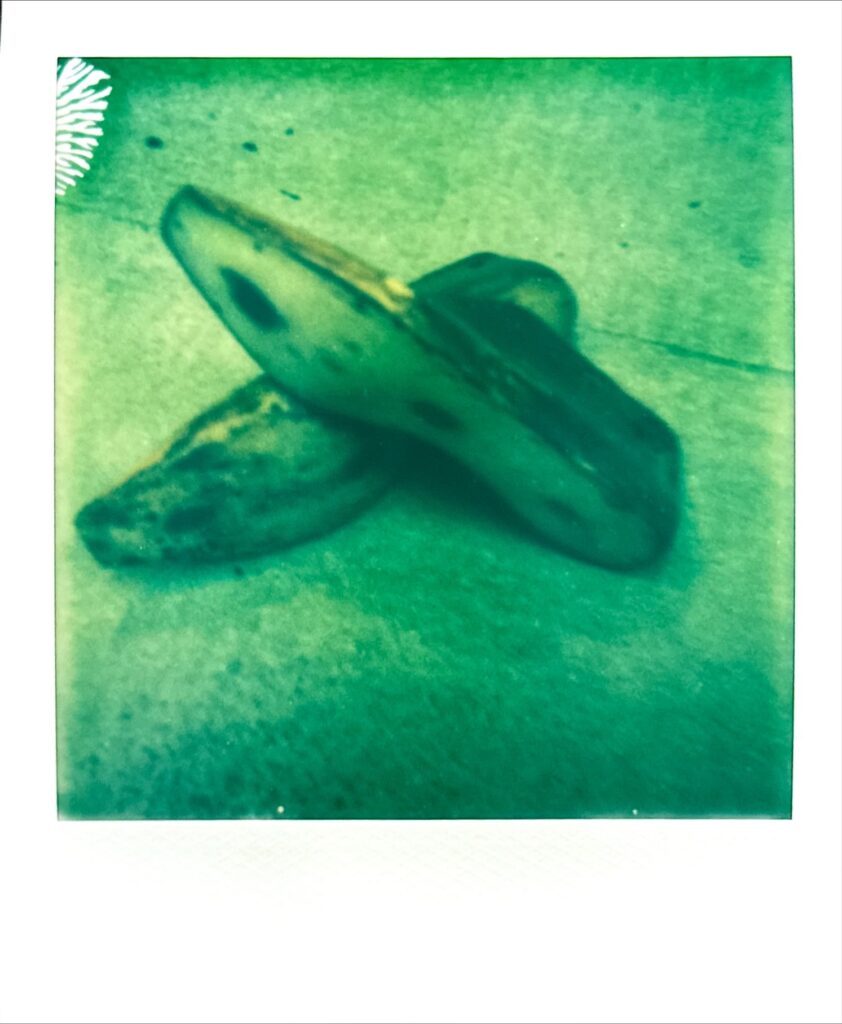 古い木型を重ねて置いたポラロイド写真（経年変化した木肌の質感）