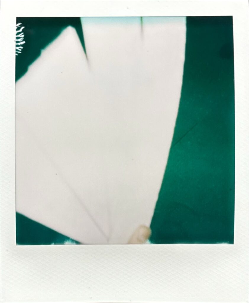 白いラバー素材を抽象的に捉えたポラロイド写真