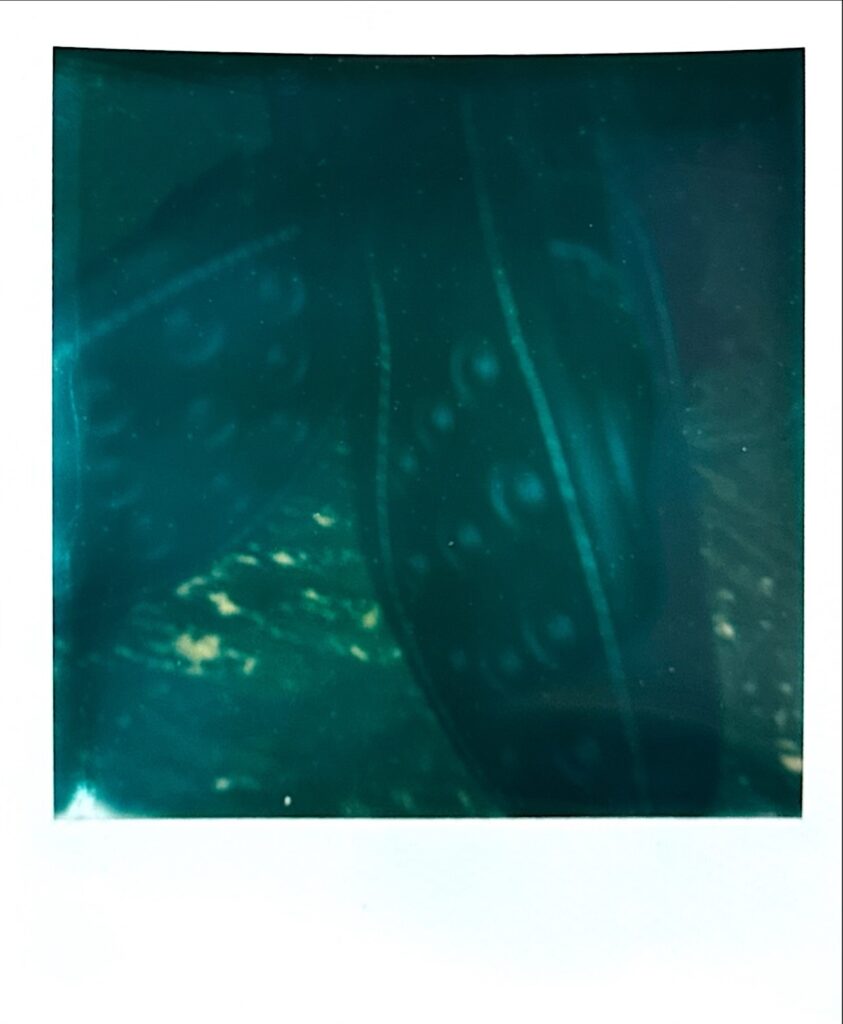 トリッカーズ バートン ダイナイトソール ポラロイド写真