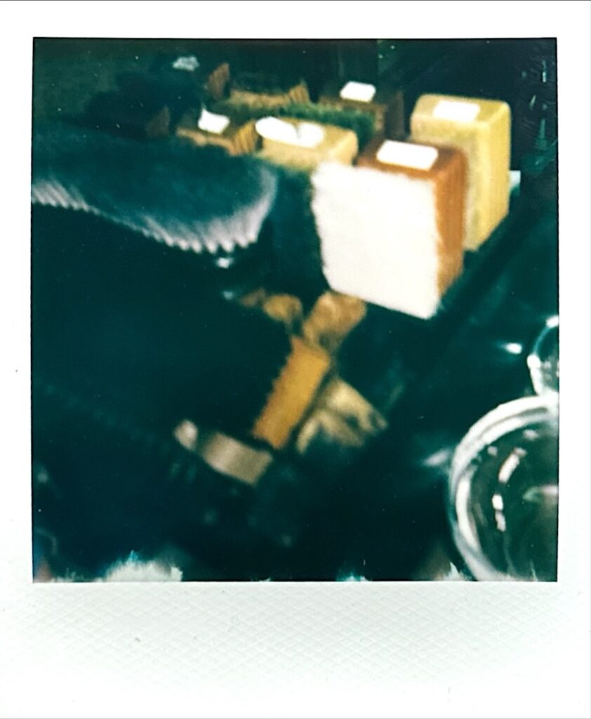 磨き用ブラシのポラロイド写真 メンテナンスツールの記録