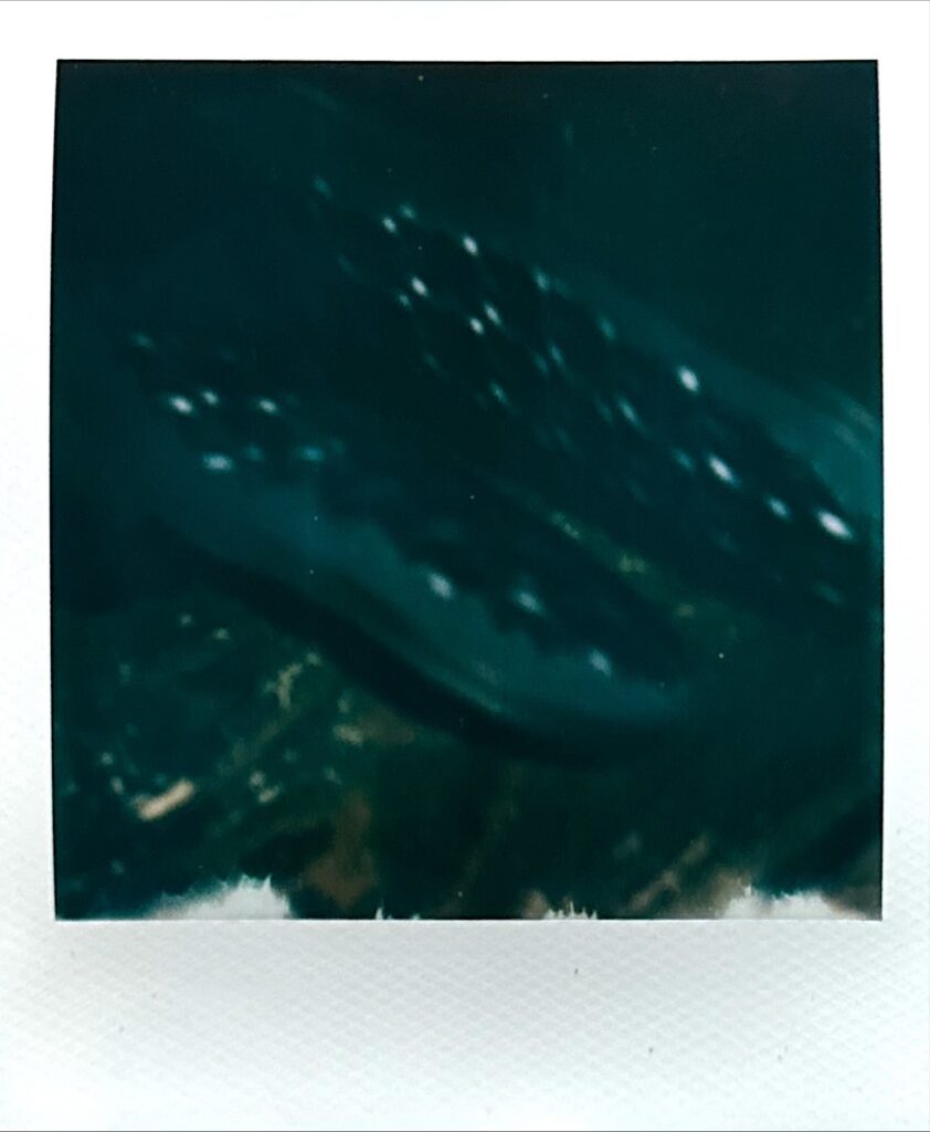 ユッタニューマン シモーネ ソール交換後 ポラロイド写真 ビルケンソール質感